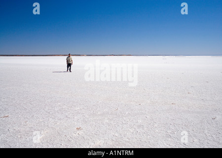 Fußgänger auf See Hart Stuart Highway in der Nähe von Woomera Outback Australien Südaustralien Stockfoto