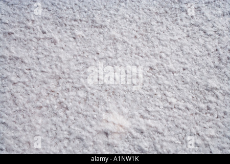 Salz Kruste Lake Hart Stuart Highway in der Nähe von Woomera Outback Australien Südaustralien Stockfoto