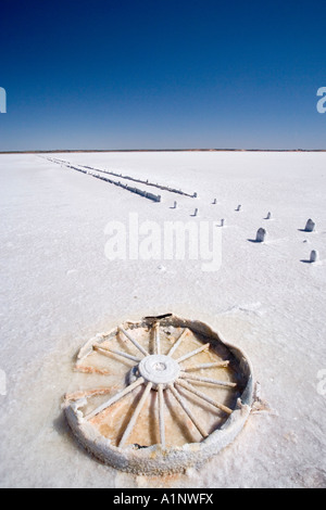 Salz verkrustet Wagon Wheel Lake Hart Stuart Highway in der Nähe von Woomera Outback Australien Südaustralien Stockfoto