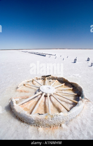 Salz verkrustet Wagon Wheel Lake Hart Stuart Highway in der Nähe von Woomera Outback Australien Südaustralien Stockfoto