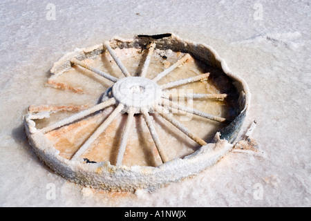 Salz verkrustet Wagon Wheel Lake Hart Stuart Highway in der Nähe von Woomera Outback Australien Südaustralien Stockfoto