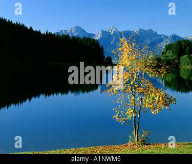 DE - Bayern: Forggensee in der Nähe von Füssen Stockfoto