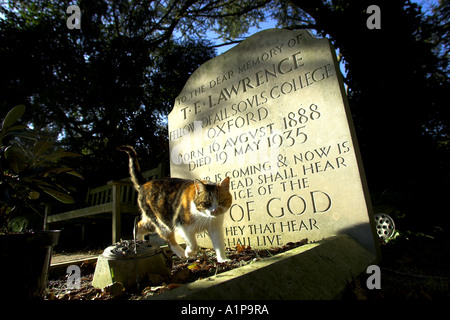 Eine Katze streift um das Grab von T. E. Lawrence oder Lawrence von Arabien auf dem Friedhof von Moreton Dorset UK Stockfoto