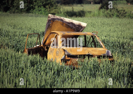 Ein weiterer Versicherungsanspruch für ausgebrannte abgestreift Wrack eines Rosty gestohlen verlassenen Limousine Auto in Bauernhof Weizenernte gefahren Field ländlichen Essex England Großbritannien Stockfoto