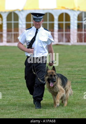 Polizei-Handler mit Hund England UK Stockfoto