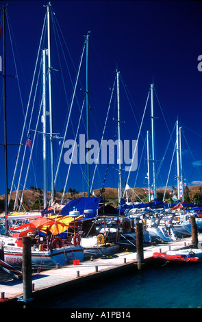 Fahrtenyachten gefesselt im dock während Musket Cove Regatta Malolo Lai Lai Insel Fidschi Stockfoto