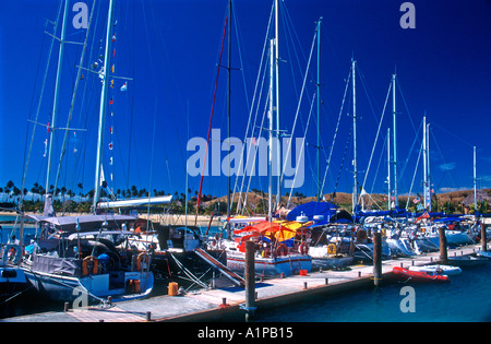 Fahrtenyachten gefesselt im dock während Musket Cove Regatta Malolo Lai Lai Insel Fidschi Stockfoto