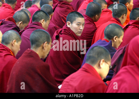 Eine Gruppe von tibetisch-buddhistischen Mönchen und Nonnen sitzen in ihren traditionellen Gewändern bei der Mahabodhi-Tempel in Bodhgaya in Bihar in Indien Stockfoto