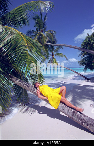 Eine Frau liegt auf einer Palme auf Velavaru Island Beach Resort in Malediven Stockfoto