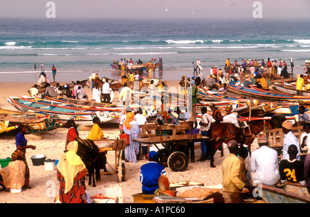 Dorfbewohner sammeln am Strand von Yoff nördlich von Dakar Senegal, von den lokalen Fischern zu kaufen Stockfoto