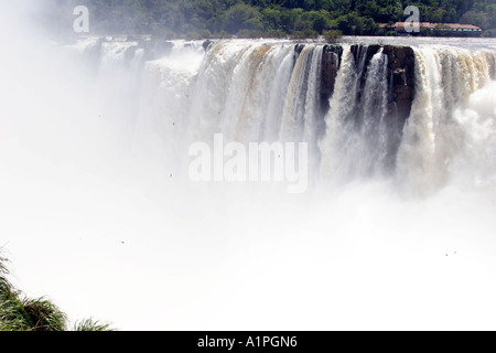 Iguassu Falls Teufel s Kessel und große dämmerige Swift Vögel fliegen Stockfoto