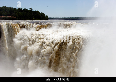 Iguassu Falls Teufel s Kessel und große dämmerige Swift Vögel fliegen Stockfoto