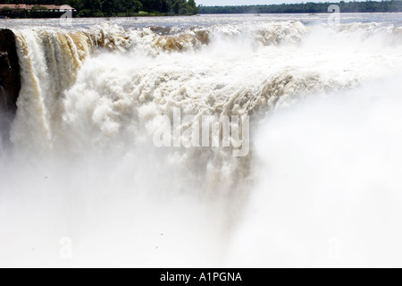 Iguassu Falls Teufel s Kessel und große dämmerige Swift Vögel fliegen Stockfoto