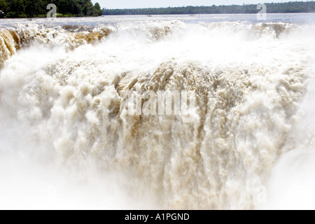 Iguassu Falls Teufel s Kessel und große dämmerige Swift Vögel fliegen Stockfoto