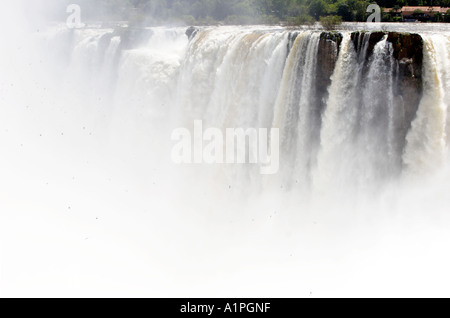 Iguassu Falls Teufel s Kessel und große dämmerige Swift Vögel fliegen Stockfoto