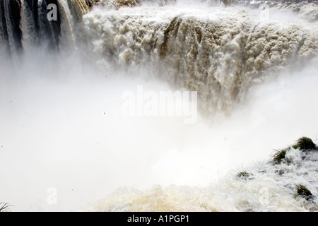 Iguassu Falls Teufel s Kessel und große dämmerige Swift Vögel fliegen Stockfoto