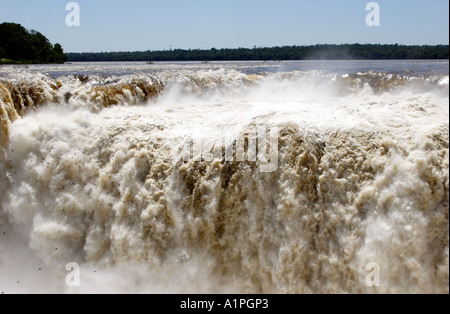 Iguassu Falls Teufel s Kessel und große dämmerige Swift Vögel fliegen Stockfoto