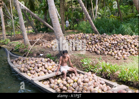 Ein Mann sitzt in einem Boot voller Kokosnüsse in Kerala Indien Stockfoto