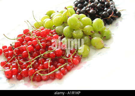 Frische gemischte Beeren und Stachelbeeren auf einem Teller mit einer Vielzahl von lebhaften Farben und natürlichen Texturen. Stockfoto
