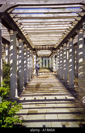 Traditionelle georgische Kolonnade Detail öffnen Holzdach Tiefe Pergola Himmel Hampstead Heath Park London England UK Europe Stockfoto