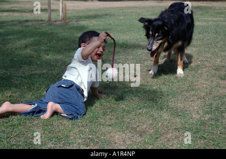 Junge Kleinkind im Park mit Ball und Hund. Stockfoto