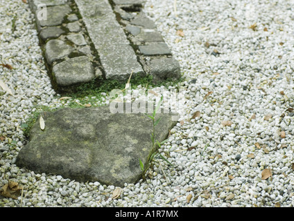 Kies und Stein Grenze Stockfoto