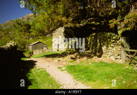 Steinscheune im Sommer Easedale bei Grasmere English Lakes Cumbria England Vereinigtes Königreich GB Großbritannien Stockfoto