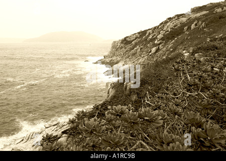 Riesenwelle Felsenstrand Auswirkungen Berg Spray Steilküste Stockfoto