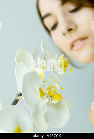 Frau betrachten Orchidee Stockfoto