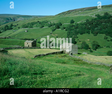 Stein Scheunen und Feldern, Thwaite, obere Swaledale, Yorkshire Dales National Park, North Yorkshire, England, UK. Stockfoto