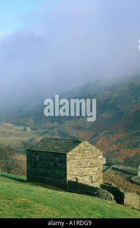 Stein-Scheune in der Nähe von Dorf Keld, obere Swaledale, Yorkshire Dales National Park, North Yorkshire, England, UK. Stockfoto