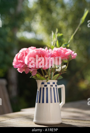 Pfingstrosen in vase Stockfoto