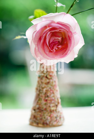 Blume in vase Stockfoto