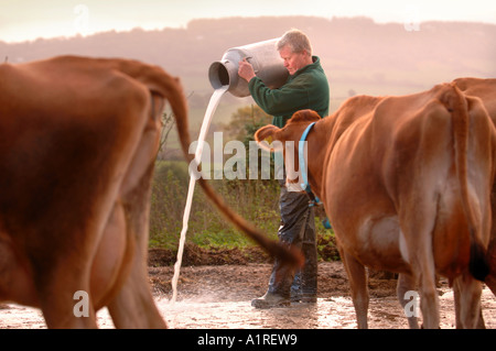 MOLKEREI-BAUER DAVID HANDLEY VORSITZENDER DES BAUERN FÜR MAßNAHMEN, DIE WEG GEGOSSEN MILCH SEINE MORGEN AUS PROTEST GEGEN SUPERMÄRKTE WHOL Stockfoto