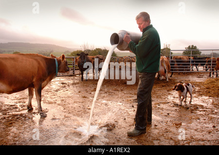 MOLKEREI-BAUER DAVID HANDLEY VORSITZENDER DES BAUERN FÜR MAßNAHMEN, DIE WEG GEGOSSEN MILCH SEINE MORGEN AUS PROTEST GEGEN SUPERMÄRKTE WHOL Stockfoto