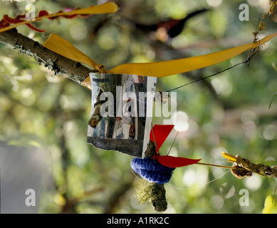 Madron Heiliger Brunnen Madron Cornwall. Votivopfer hängen von den Zweigen ein kleiner Dorn Baum 1990er Jahre Cornish Folklore heidnischen Ritual 1995 HOMER SYKES Stockfoto