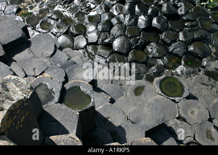 Sechseckige Schritte: Schwarzer Basalt Entfermung machen ein komplexes Muster in grau und schwarz, wie der Damm in Richtung Meer sinkt Stockfoto