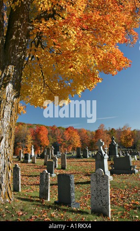 Herbst-Friedhof: Herbst Farbe von einem alten Ahornbaum Überhänge einen alten Friedhof in den Hügeln von Gatineau Stockfoto