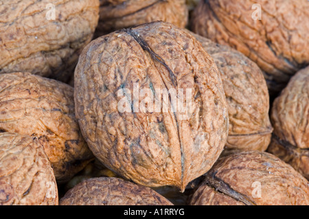 Nahaufnahme der Früchtekorb Nussbaum UK Stockfoto