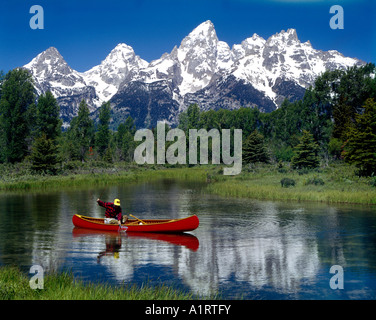 Kanu-Fischer netting eine Forelle in Biber Teich entlang des Snake River im Grand Teton National Park in Wyoming Stockfoto