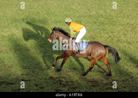 Pferd und Jockey auf dem Racecourse Ludlow, Shropshire Stockfoto