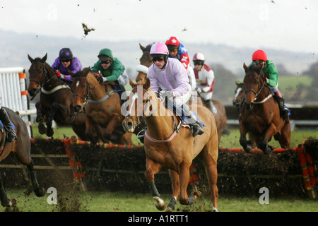 Pferderennen in Ludlow, Shropshire Stockfoto