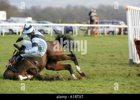 Paddy Brennan Pferd fällt Bürokrat auf einen Zaun, Ludlow, Shropshire Stockfoto