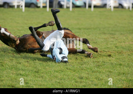 Paddy Brennan Pferd fällt Bürokrat auf einen Zaun, Ludlow, Shropshire Stockfoto