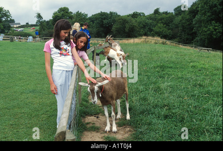 zwei Mädchen streicheln eine Ziege in einem landwirtschaftlichen Zentrum Stockfoto