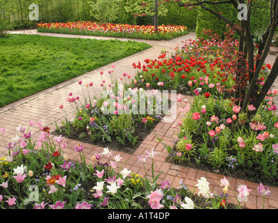 Tulip Garten, Britzer Garten, Berlin, Deutschland Stockfoto