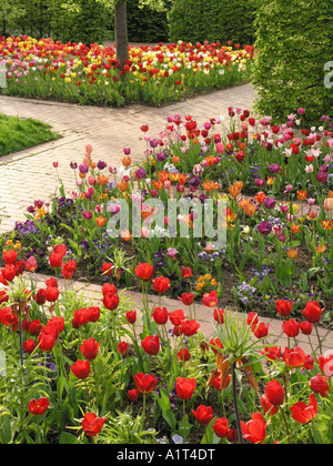 Tulip Garten, Britzer Garten, Berlin, Deutschland Stockfoto