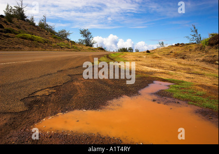 Eine Pfütze nach einem tropischen Regen auf der Seite Kahekili Highway (Rt 30) in der Nähe von Nakalele Point, North Maui, Hawaii, USA (September 2006) Stockfoto