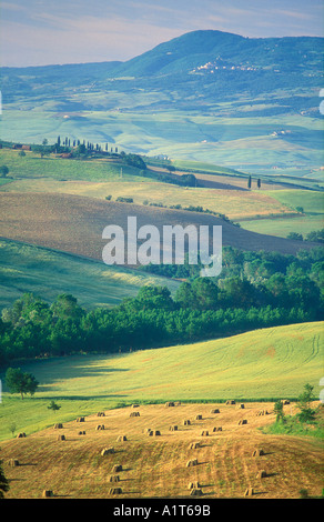 Ackerland nr Pienza Toskana Italien Stockfoto