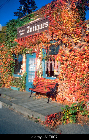 Antik-Shop im Herbst berührt Weinblättern umhüllt. Minnetonka Minnesota MN USA Stockfoto